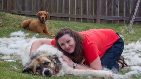 Cuidar de la naturaleza: la razón para no quitarle el pelo muerto en el parque a los perros