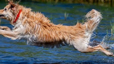 So wird das Wetter in NRW: Erst kommt die Hitze – dann der Regen