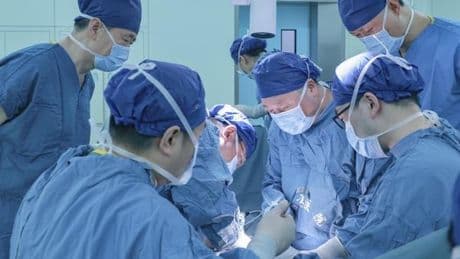 Medizinische Sensation: Erstmals Schweinelunge transplantiert