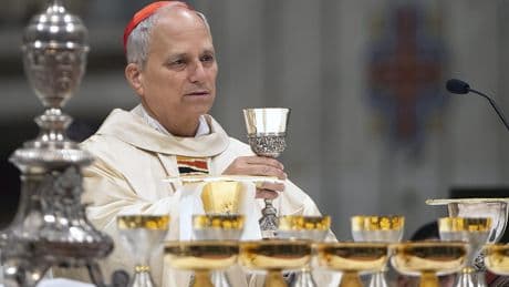 « Quand une idéologie devient maître de ma vie, alors je ne peux plus dialoguer» : la mise en garde du cardinal Prevost face à la polarisation