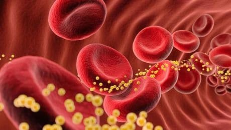 Risiko Herz: Dieser Wert ist genauso wichtig wie Cholesterin