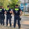 Kriminalität: Straftaten in Berliner Freibädern leicht gestiegen