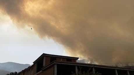 Incendios en España, última hora en directo | El incendio de Jarilla calcina 11.000 hectáreas y Extremadura estudia confinar La Garganta (Cáceres)