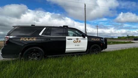 Injured Ontario girl, 8, wasn't attacked by animal; police charge 17-year-old with sexual assault