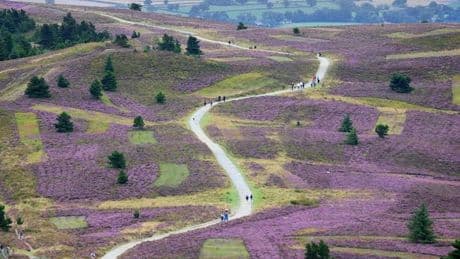 'Gloriously lumpy, bumpy' landscape is one of the best places to live in Wales