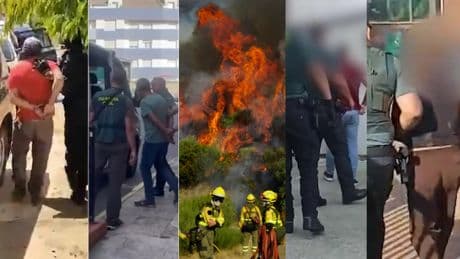 Pirómanos o negligentes, los detenidos por los incendios: cuántos, quiénes y a qué penas pueden enfrentarse