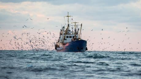 « La destruction de l’océan doit cesser » : l’appel de collectifs chrétiens pour l’Unoc