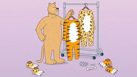 Rätsel des Alltags: Warum haben Tiger Streifen und Leoparden Flecken?