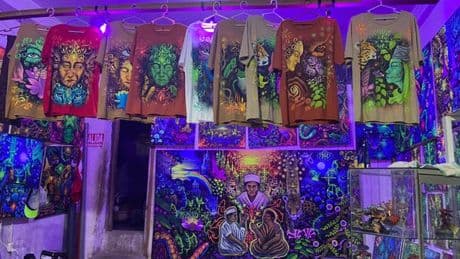L’ayahuasca, filon psychédélique de l’Amazonie péruvienne