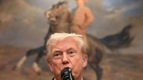 Gaza : Donald Trump fustige les projets de reconnaissance d'un Etat palestinien