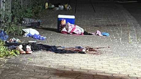 Messer-Attacke am Brombachsee - Frau (19) ersticht Jugendlichen (15) an Badesee