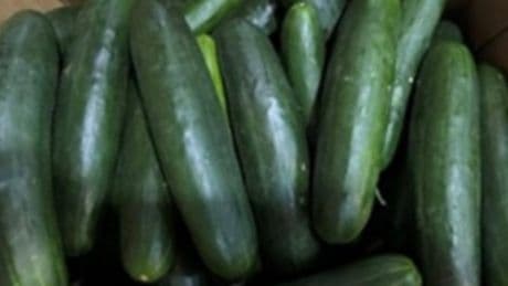 Cucumbers under recall after salmonella outbreak tied to 15 states left 9 people hospitalized