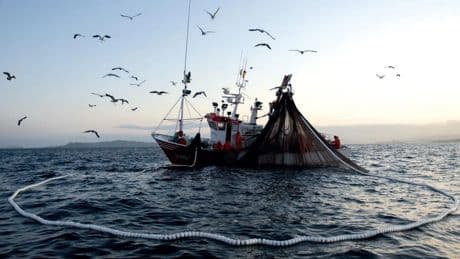 Paquetes, patatas y pescado