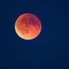 Himmelsphänomen: Rötliche Scheibe: Totale Mondfinsternis über Deutschland