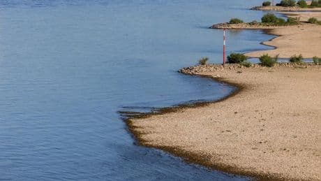 Hitzewelle in Westeuropa: Niedrige Pegelstände am Rhein beeinflussen Frachtverkehr