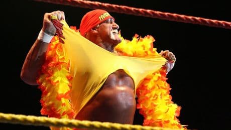 Hulk Hogan: The controversial wrestling legend who helped launch a global industry