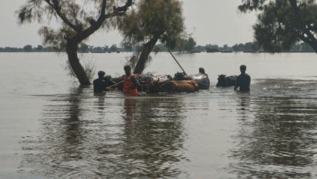 Rescuers in Pakistan scramble to save residents as swollen rivers reach dangerous levels