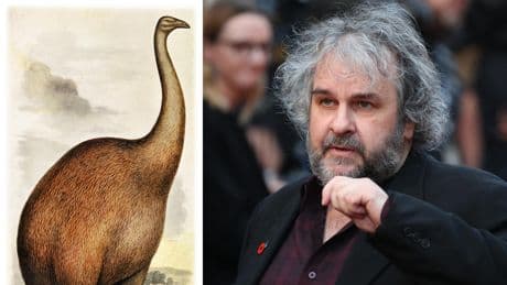 Peter Jackson délaisse la réalisation de films pour ressusciter des oiseaux