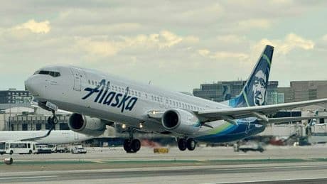 Alaska Airlines is requesting a ground stop for its entire fleet because of an IT outage