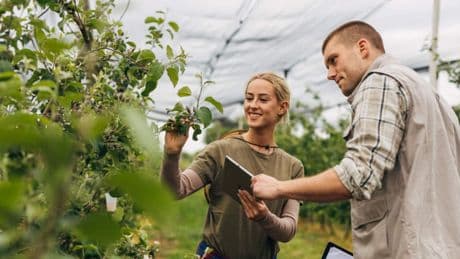 Al via il bonus agricoltori per la formazione degli under 41