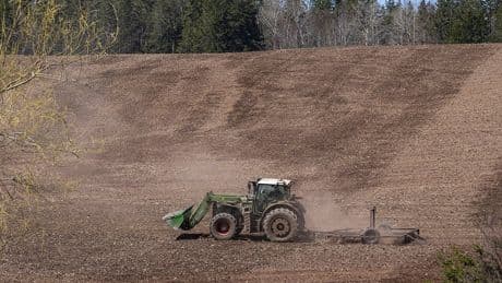 As N.S. farmers struggle, report urges steps to help increase stagnant local sales