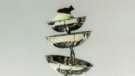 Quand le printemps retrouve les menus plaisirs du dessert glacé