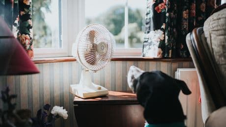 Ventilatoren unter 60 Euro im CHIP-Labor: Diese Modelle überzeugen
