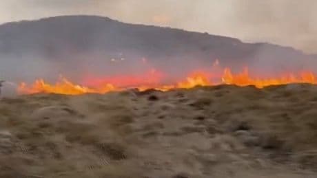 Paşalimanı Adası'nda yangın
