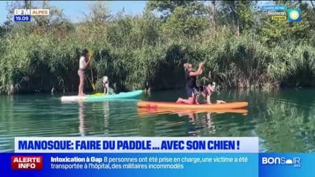 Manosque : faire du paddle ... avec son chien !