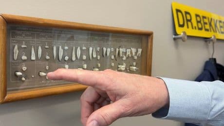 Worried dentists are preparing patients for RFK Jr’s fluoride tap water ban