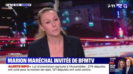 Frères musulmans: "Je défends l'interdiction de cette idéologie", affirme Marion Maréchal