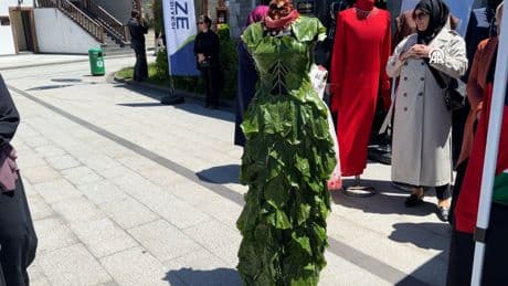 Kara lahana yaprağından yapılan elbise ilgi gördü