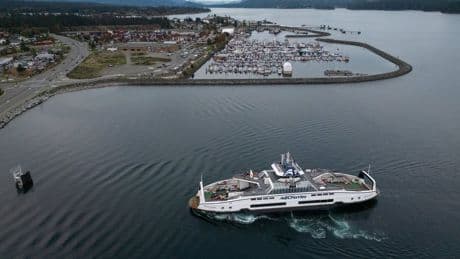 Transport committee votes to study BC Ferries’ Chinese ship contract
