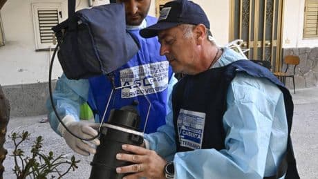 Allarme West Nile in Italia, come si trasmette: dalle zanzare Culex agli uccelli selvatici. Come proteggersi