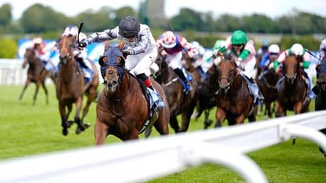 Two Tribes caps glorious training performance by Richard Spencer to win the Stewards’ Cup