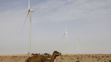 Près de 50°C enregistrés dans une ville du Sahara occidental, un record absolu pour un mois d'août