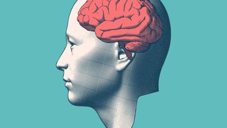 La mejor verdura que te ayudará a mejorar la memoria y cuidar tu cerebro
