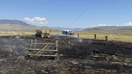 A Fish Falls From the Sky and Sparks a Brush Fire in British Columbia