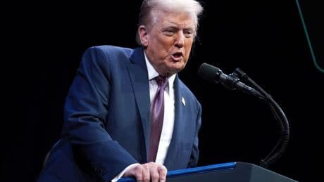 Epstein-Fall: Demokraten zeigen angebliches Trump-Schreiben