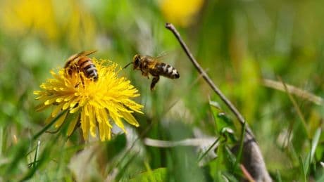 Wetterausblick: Sonne und sommerliche Temperaturen - doch nicht überall