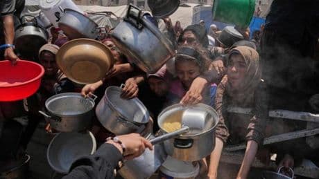Diano Marina, il Comune sul riconoscimento della Palestina: “Priorità a questioni locali”