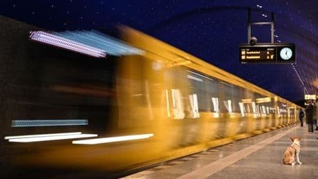 Exklusive Zahlen: So (un)zuverlässig ist Berlins U-Bahn wirklich
