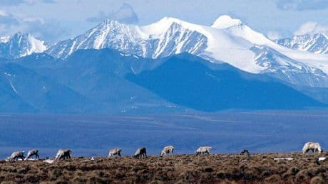Trump begins rescinding Biden's restrictions on gas and oil drilling in Alaska