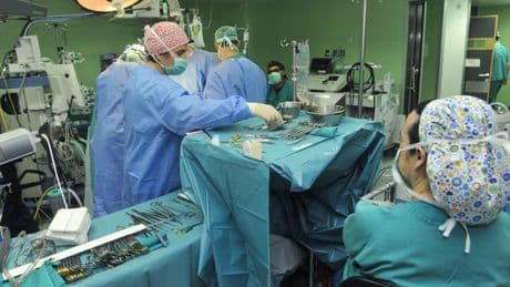 Descubren una molécula en el intestino asociada con la aterosclerosis, causa de enfermedades cardiovasculares