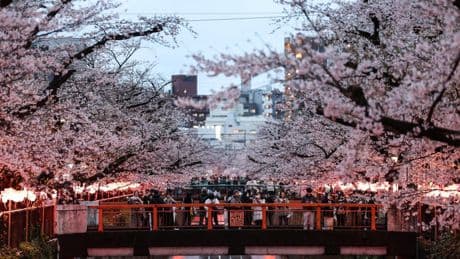 El turismo que enfada a Japón