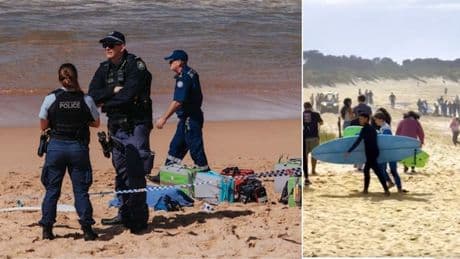 Surfista ucciso da uno «squalo enorme» a Sydney. «L'uomo ha perso gli arti»: aveva 57 anni, lascia moglie e figlia piccola