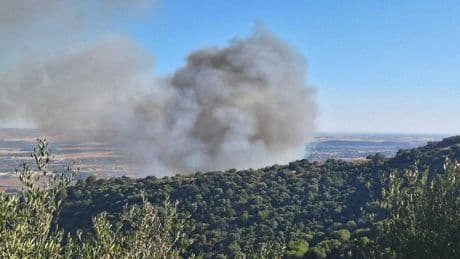 Controlado el incendio de Córdoba tras quemar 84 hectáreas