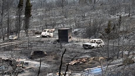 Is it safe to travel to France? Latest advice as wildfires devastate south of country