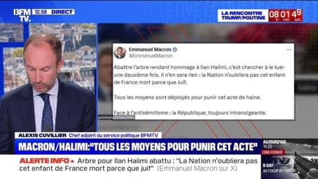 Arbre en hommage à Ilan Halimi abattu: "C'est chercher à le tuer une deuxième fois", réagit Emmanuel Macron