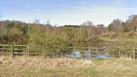 Boy, 13, ‘grabbed by grunting masked man’ while walking through nature reserve